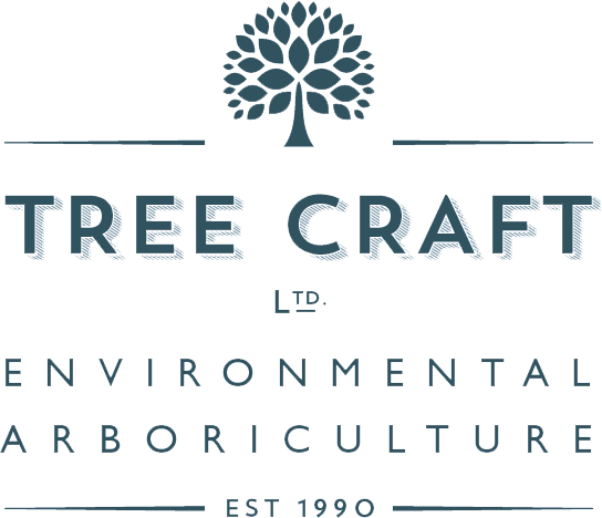 Tree Craft Logo